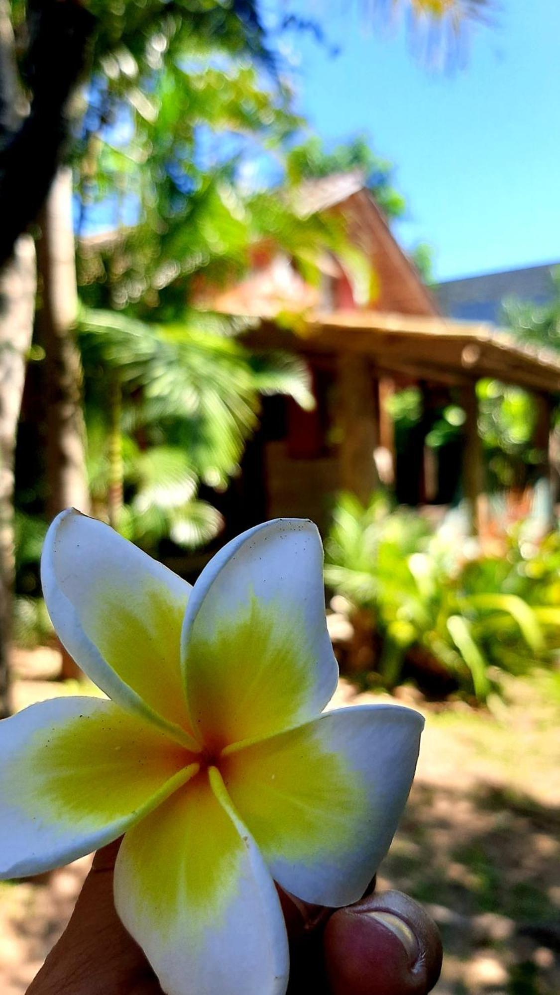 Praia Do Rosa Kaora Cabanas Zimmer foto